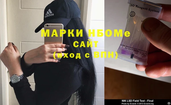 хмурый Арсеньев