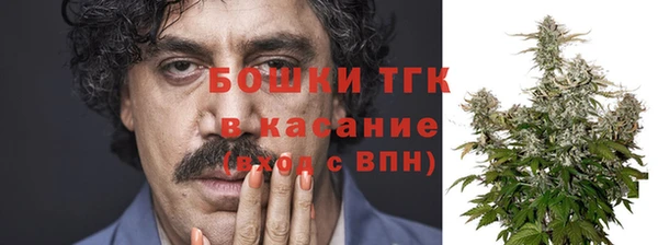 хмурый Арсеньев