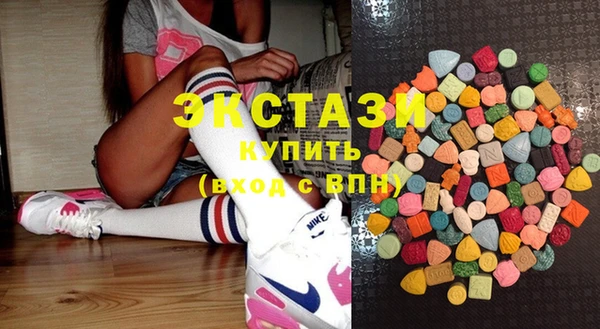 хмурый Арсеньев