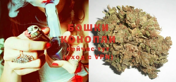 хмурый Арсеньев