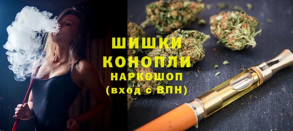 хмурый Арсеньев
