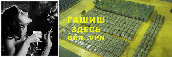 хмурый Арсеньев